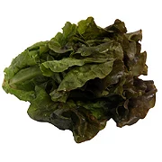 Lettuce Red Leaf ea