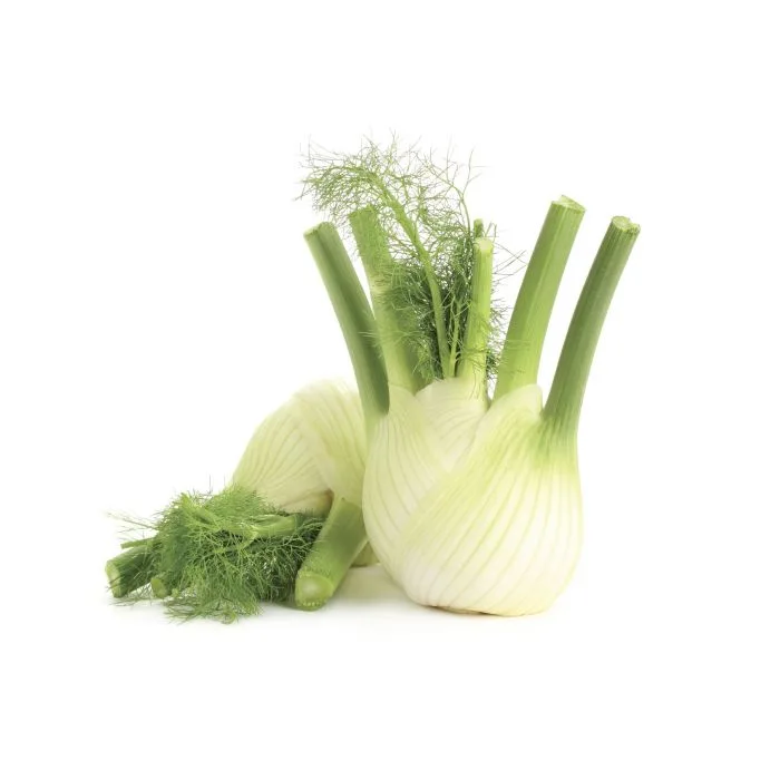 Fennel Anise 3Ct