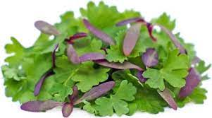Micro Fines Herbs 4 Oz
