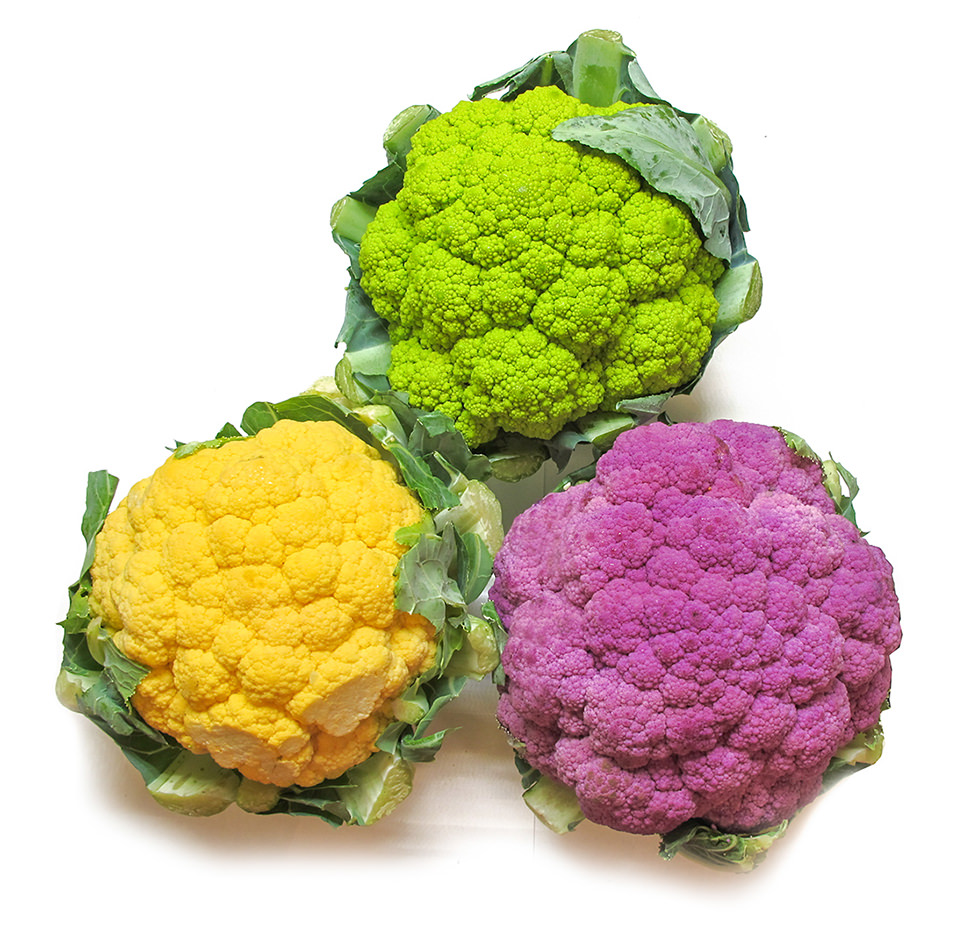 Cauliflower Carnival 6 Ct