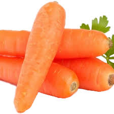 [1025] Carrot Jumbo Bag 50 Lb