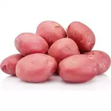 [1129] Potato Red A Size 50 Lb