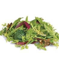 [1069] Lettuce Mescluin Mix 3Lb (Bag)
