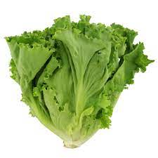 [1066] Green Leaf Lettuce ea