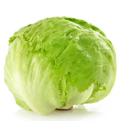 [1068] Iceberg Lettuce Ea