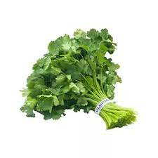 [1031] Cilantro 60 ct