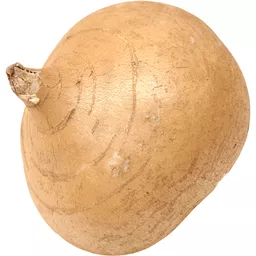 [1055] Jicama 20 Lb