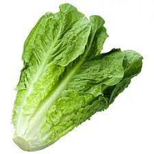 [1070] Lettuce Romaine 24 ct USA