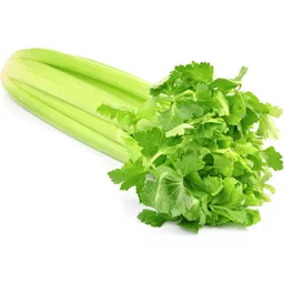 [1028] Celery ea