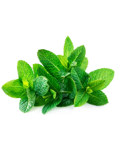 [1054] Herb Mint 1 Lb