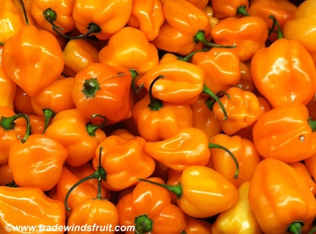[1114] Pepper Habanero Lb