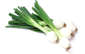 [1087] Cambray Onion 40ct