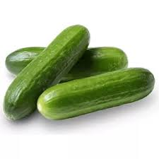 [1035] Cucumber 40 lb