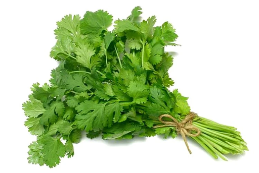 [1032] Cilantro ea