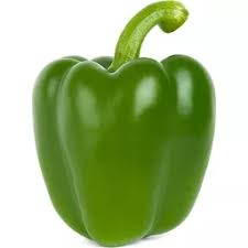 [1107] Pepper Bell Green Ea