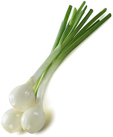 [1088] Cambray Onion ea