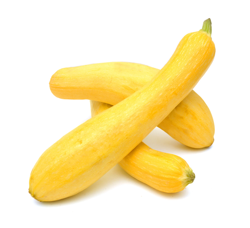 [1145] Squash Yellow Lb