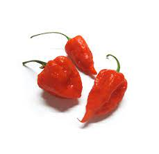 [1112] Pepper Ghost Fresh 6 Oz