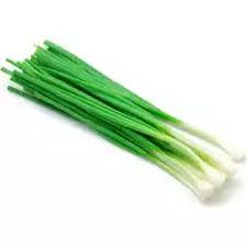[1089] Onion Green 4/2 Lb