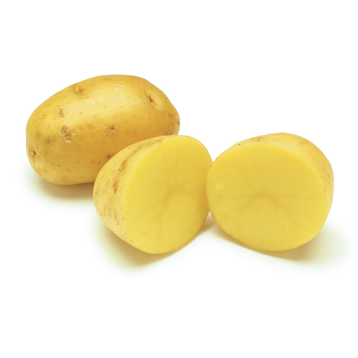 [3521] Potato Yukon A