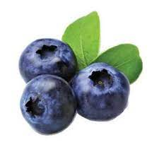 [1011] Berry Blueberry 12/6 Oz