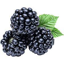 [1009] Berry Blackberry 12/6 Oz