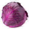 [1024] Cabbage Red Ea